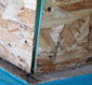 Water Damaged Materials may contain Visible Mold Growth